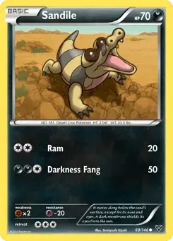 Sandile XY