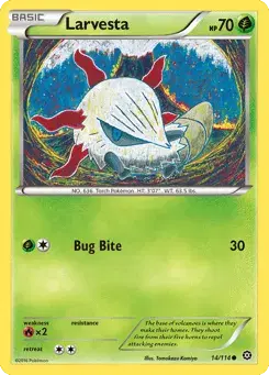 Larvesta Steam Siege