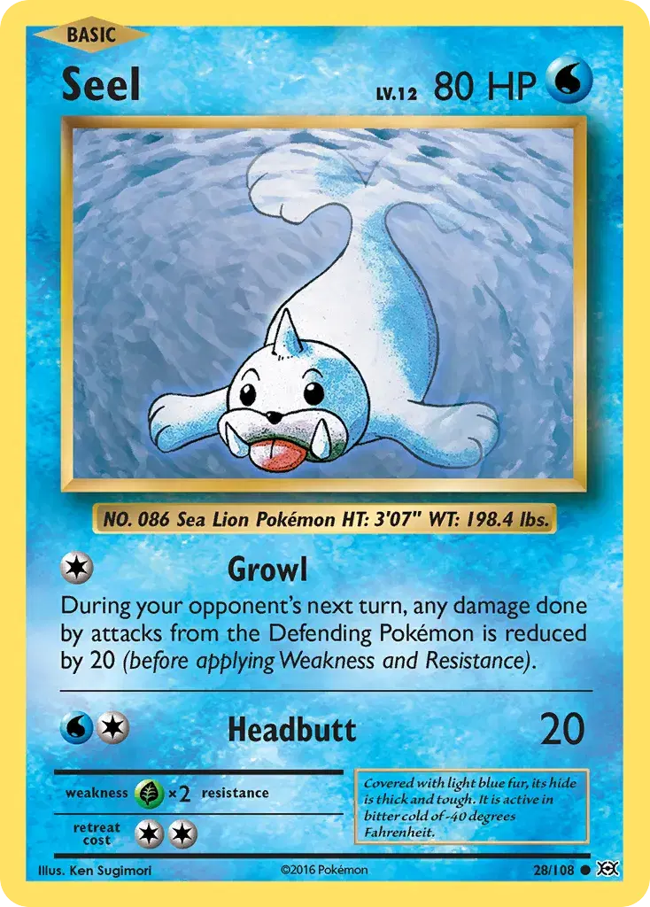 Seel Evolutions 28
