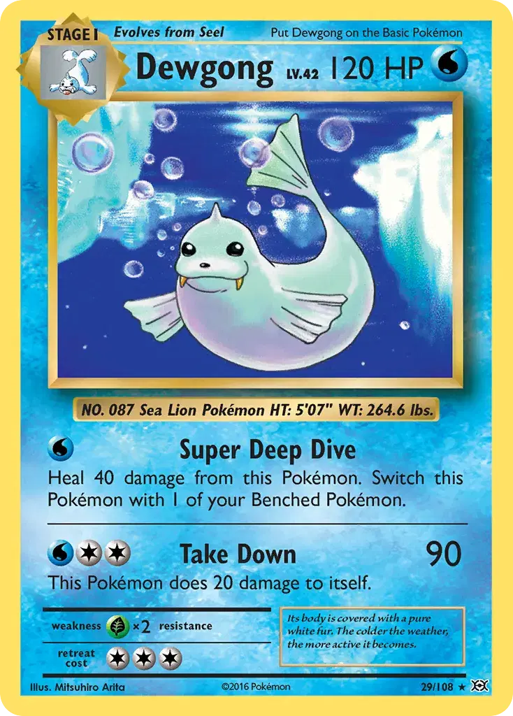 Dewgong Evolutions 29