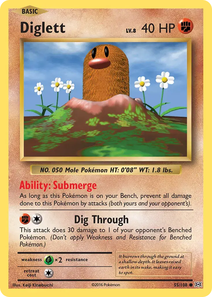 Diglett Evolutions 55