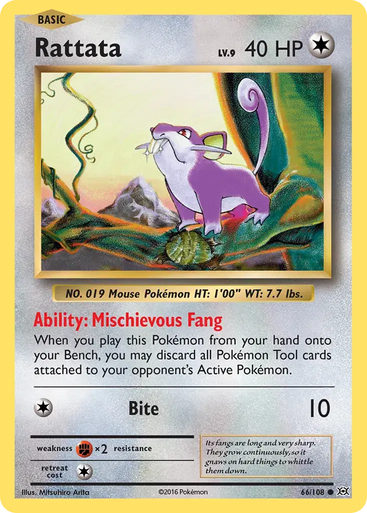 Rattata Evolutions 66