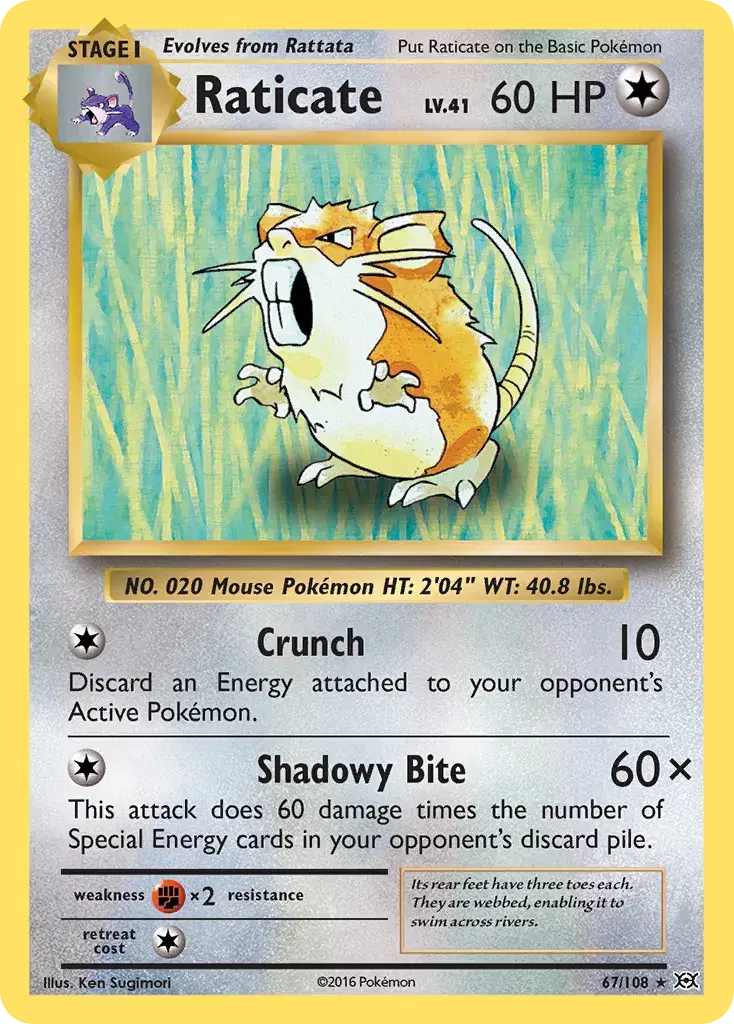 Raticate Evolutions 67