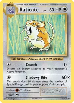 Raticate Evolutions