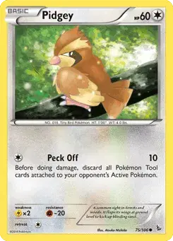 Pidgey Flashfire