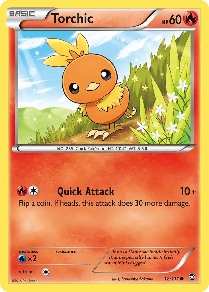 Torchic Furious Fists 12