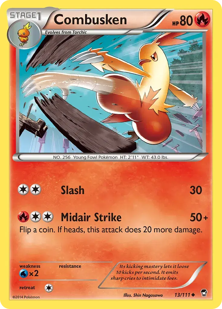 Combusken Furious Fists 13