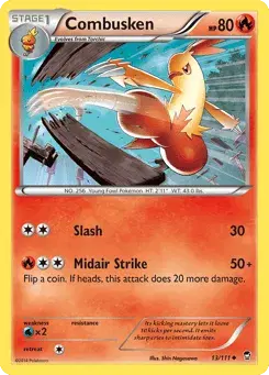 Combusken Furious Fists