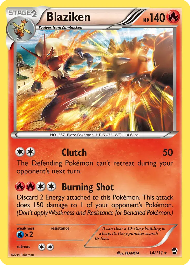 Blaziken Furious Fists 14