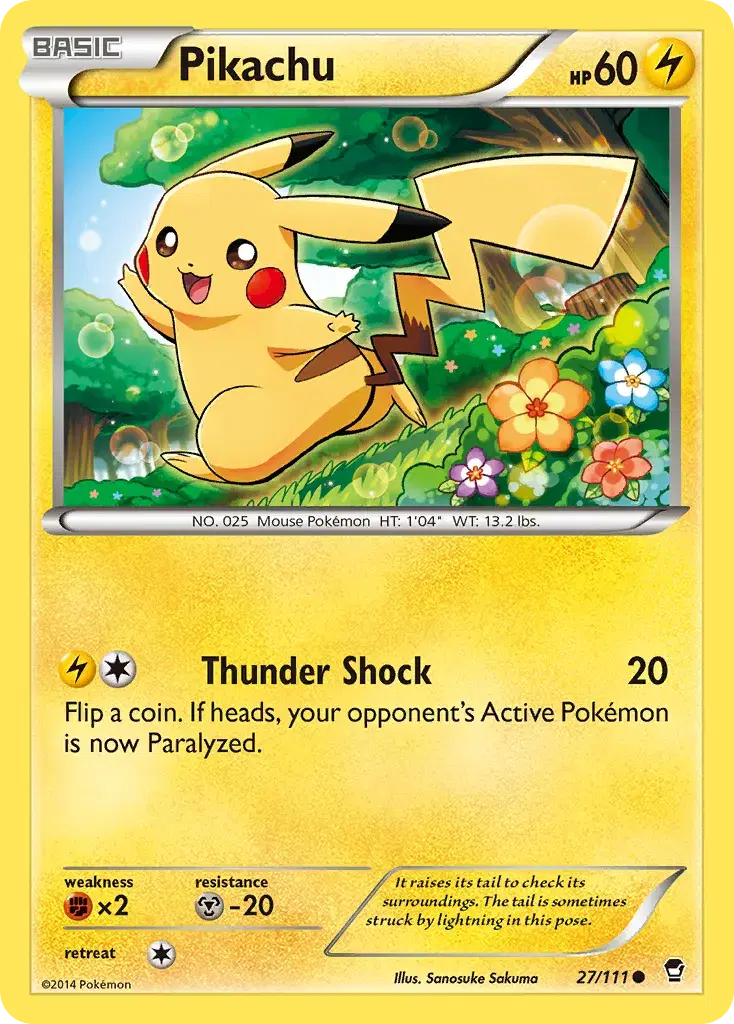Pikachu Furious Fists 27