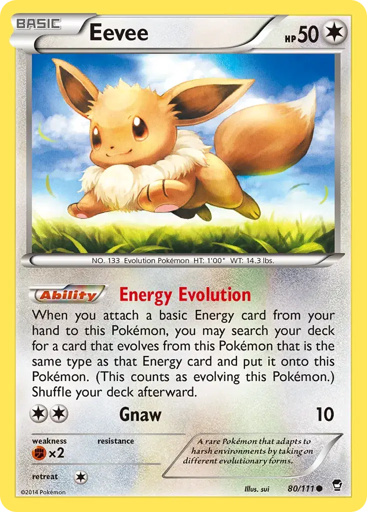 Eevee Furious Fists 80
