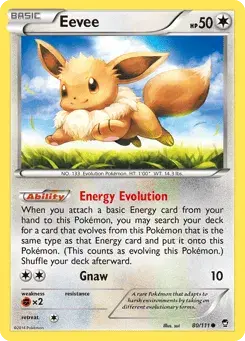 Eevee Furious Fists