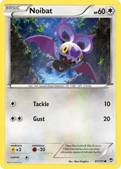 Noibat Furious Fists