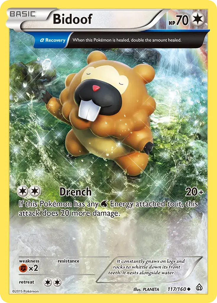 Bidoof Primal Clash 117