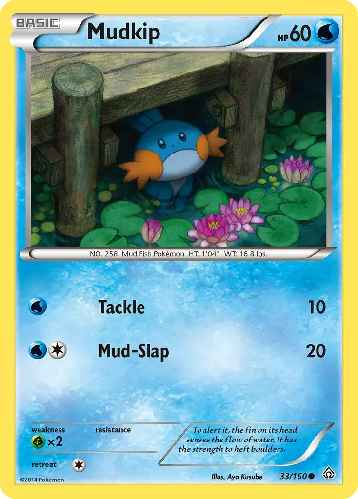 Mudkip Primal Clash 33