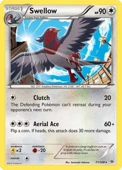 Swellow Roaring Skies