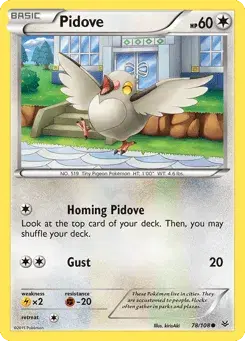 Pidove Roaring Skies