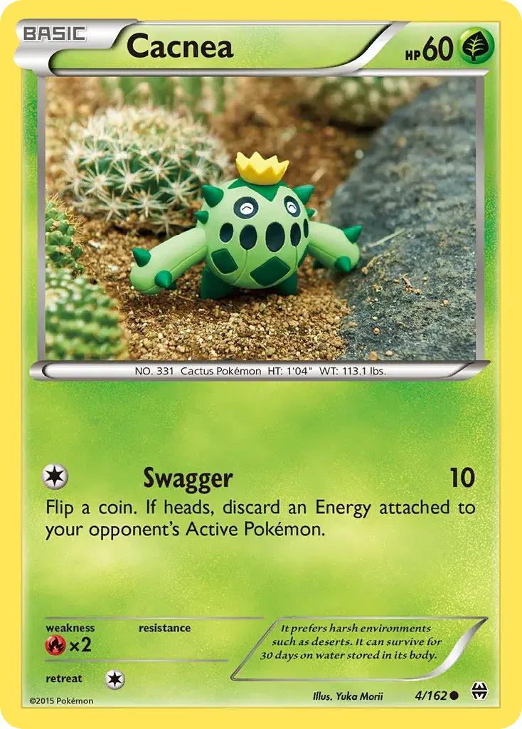 Cacnea BREAKthrough 4