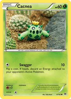 Cacnea BREAKthrough