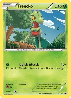 Treecko XY Black Star Promos