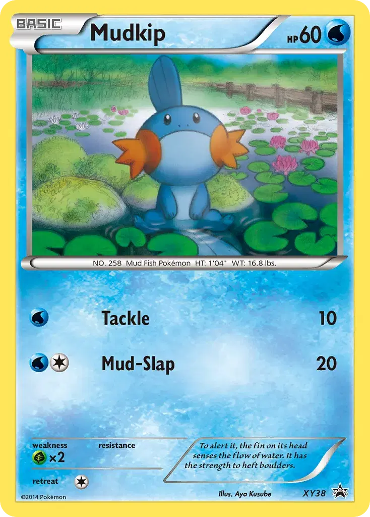 Mudkip XY Black Star Promos XY38