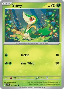 Snivy Black Bolt