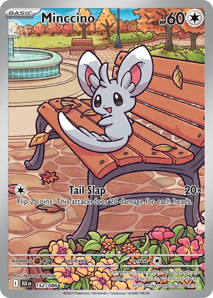 Minccino Black Bolt 152