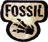Fossil logo